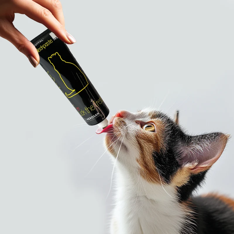 entoVITAL CAT Schleckpaste