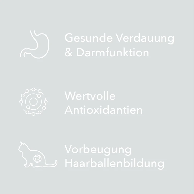 entoVITAL CAT Schleckpaste