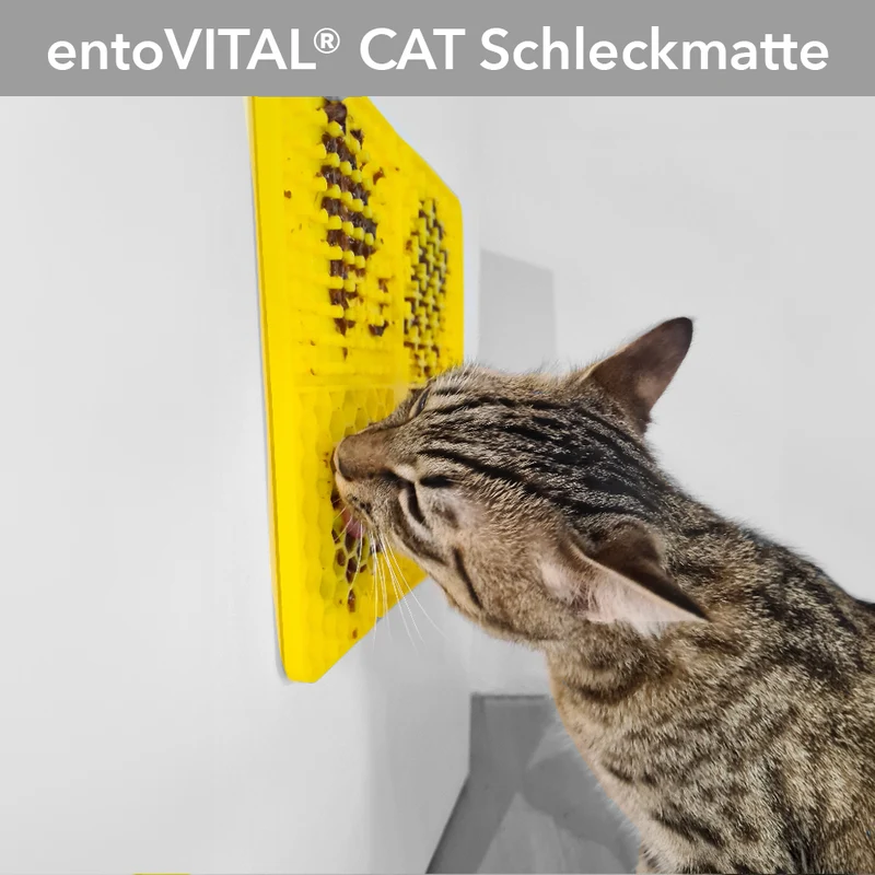 entoVITAL CAT Schleckpaste