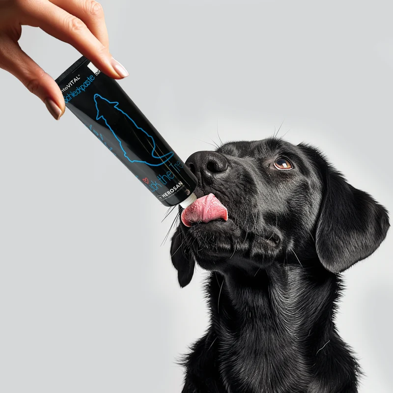 entoVITAL DOG Schleckpaste