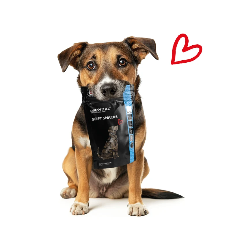 entoVITAL DOG Soft Snacks