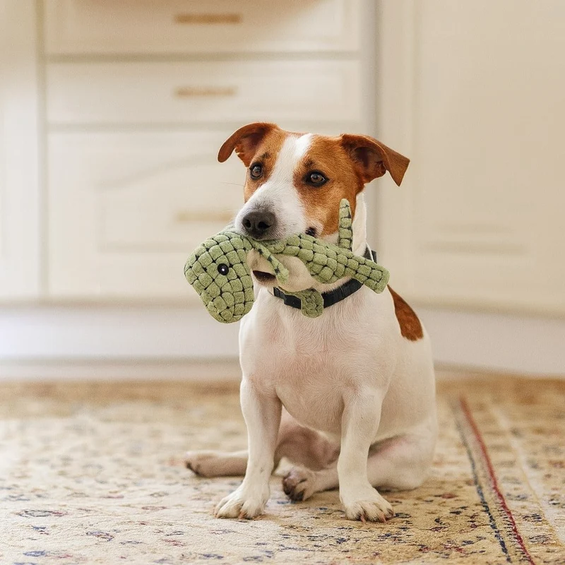 KauDino Giocattolo da Masticare per Cani Indistruttibile