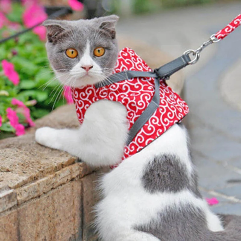 Pettorina Gilet per Gatti con Guinzaglio Regolabile