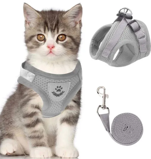 Pettorina Regolabile per Gatti Traspirante e Luminescente con Guinzaglio