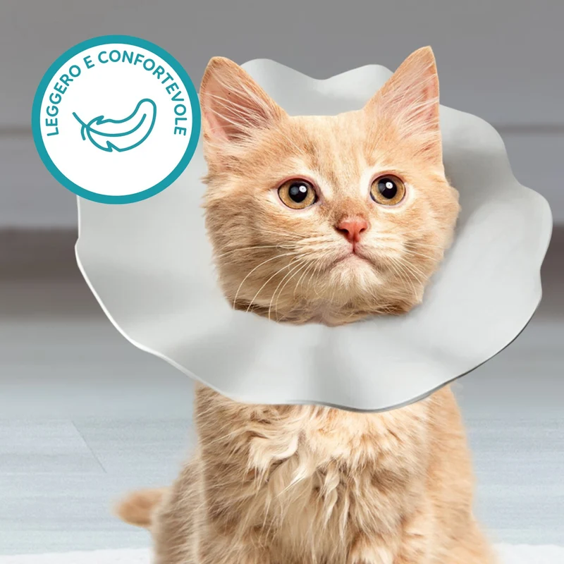 AqpetFriends Daisy Green Collare Elisabettiano In Plastica Morbida Per Gatti con Design a Doppio Strato