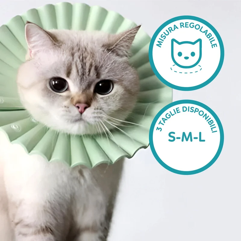AqpetFriends Daisy Green Collare Elisabettiano In Plastica Morbida Per Gatti con Design a Doppio Strato