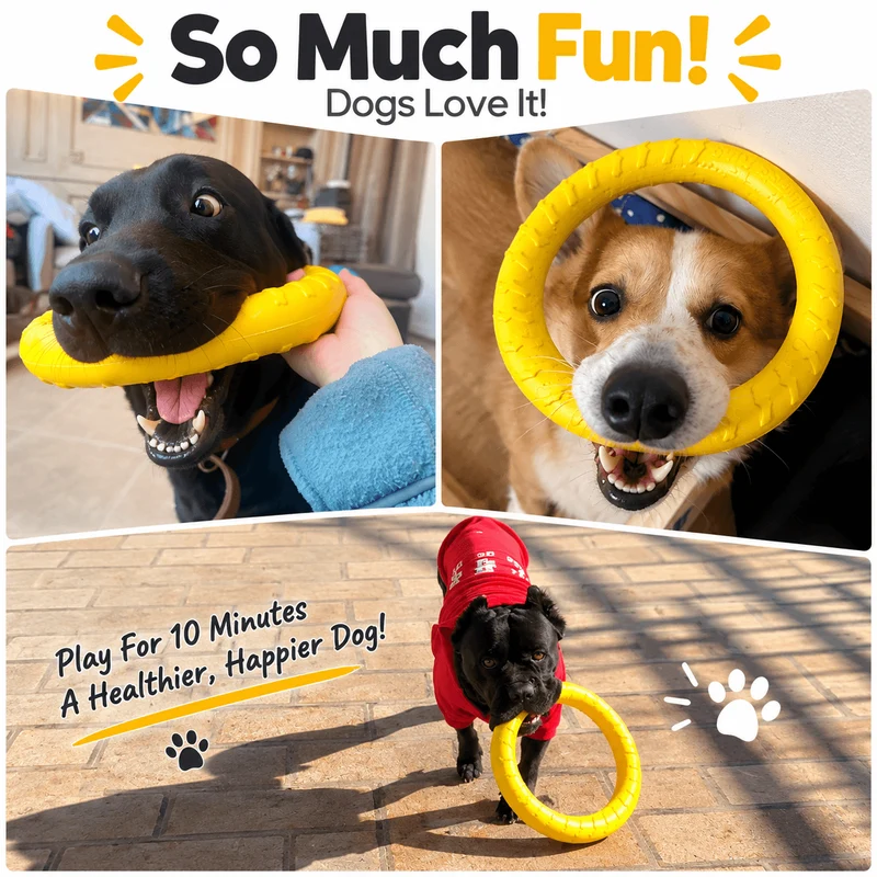 Dog Fetch & Tug Ring – Soft, Lightweight EVA Toy