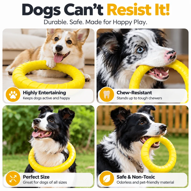 Dog Fetch & Tug Ring – Soft, Lightweight EVA Toy