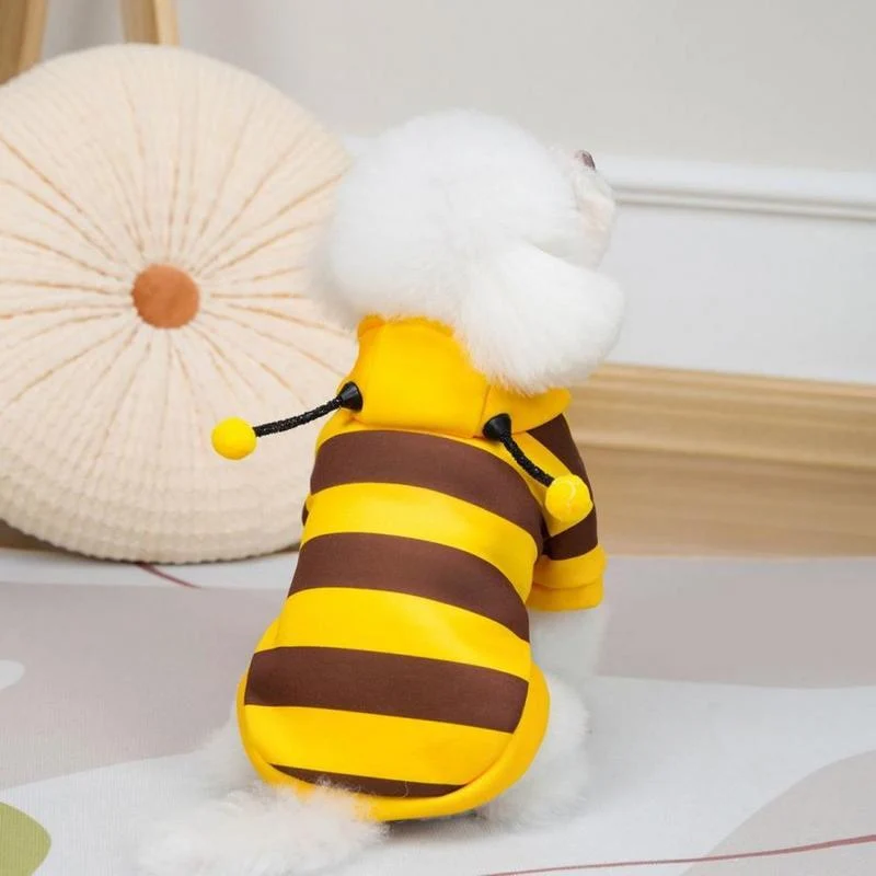 Bumblebee Cat Hoodie – Cute Bee Costume for Cats & Dogs