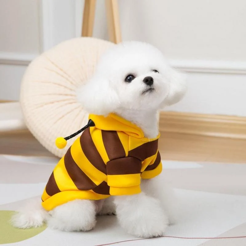 Bumblebee Cat Hoodie – Cute Bee Costume for Cats & Dogs