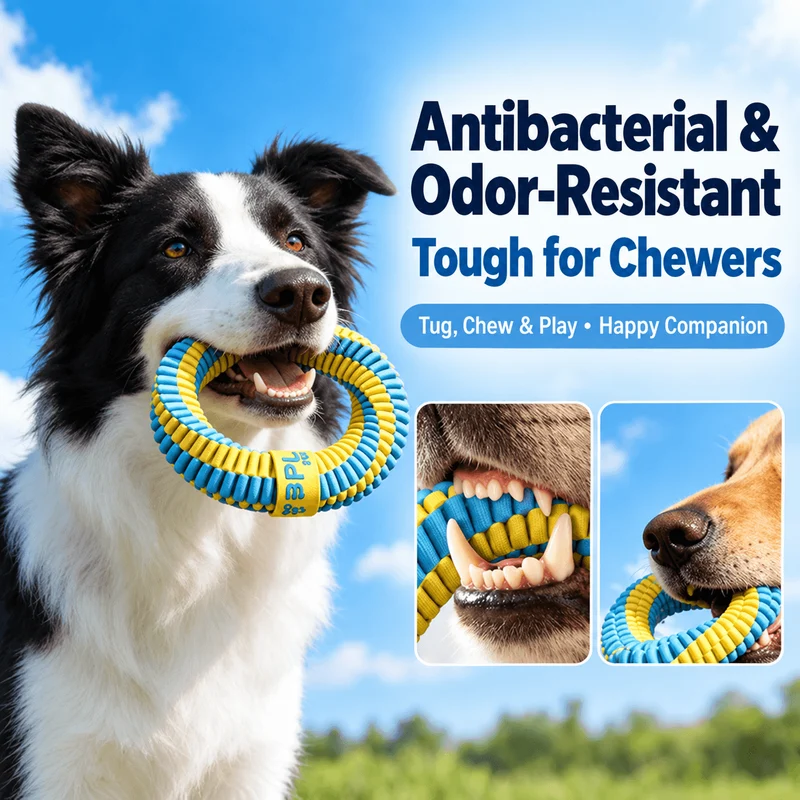 Antibacterial Braided Dog Ring Toy – Durable Chew & Tug Toy