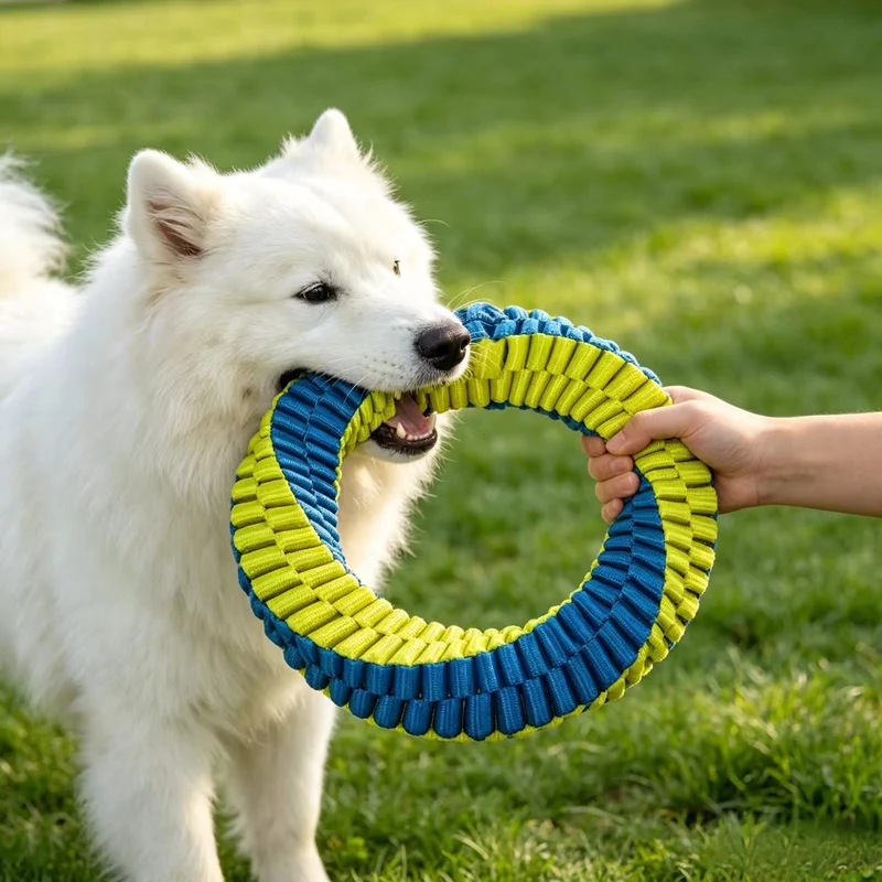 Antibacterial Braided Dog Ring Toy – Durable Chew & Tug Toy