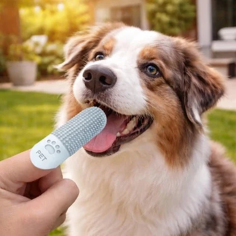 4-Pack 360° Silicone Pet Finger Toothbrush for Dogs & Cats