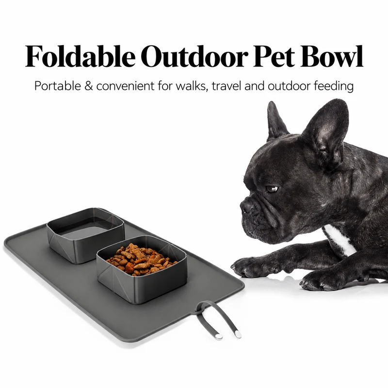 Collapsible Silicone Double Pet Bowl & Feeding Mat