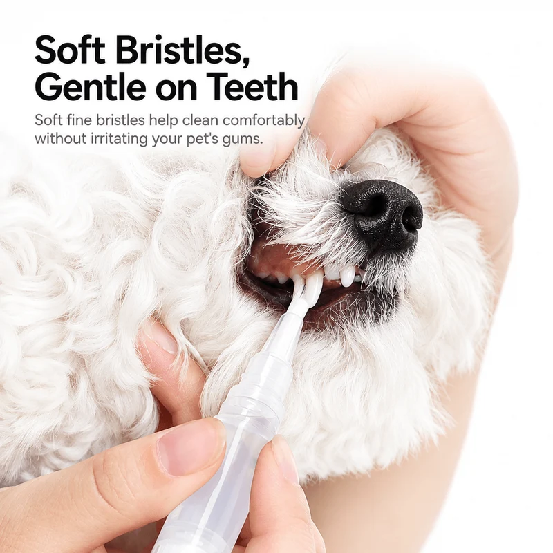 2-in-1 Pet Toothbrush Pen for Cats & Dogs