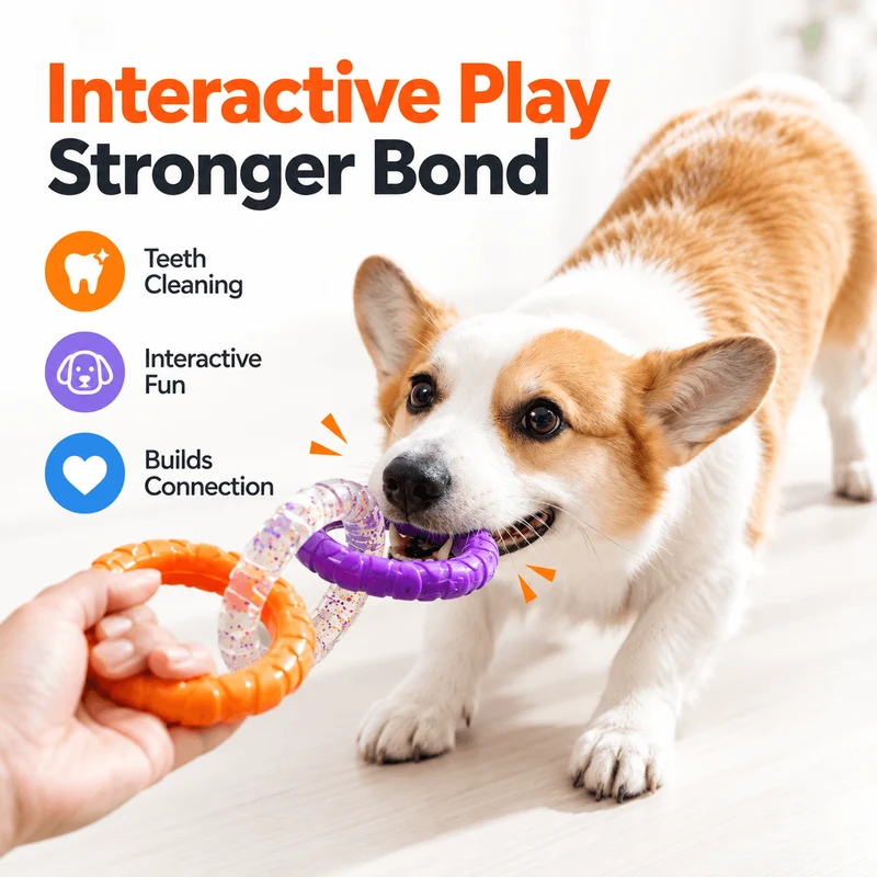 3-Ring Dog Chew & Tug Toy