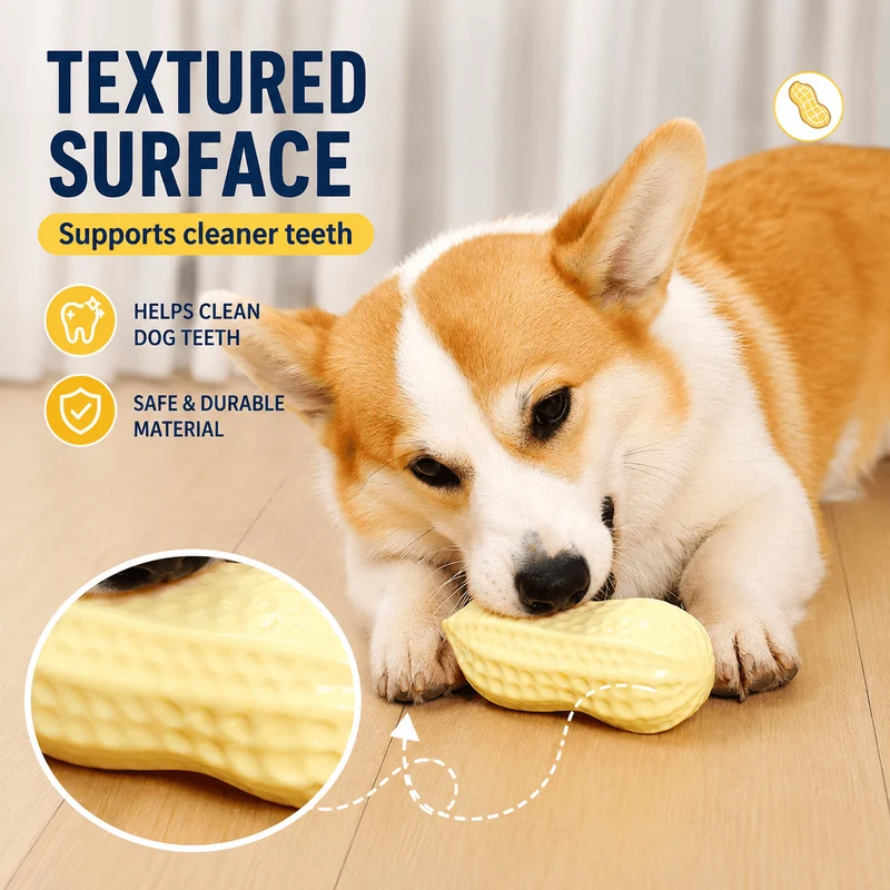 Squeaky Peanut Dog Chew Toy – Textured Dental Toy for Boredom & Interactive Play
