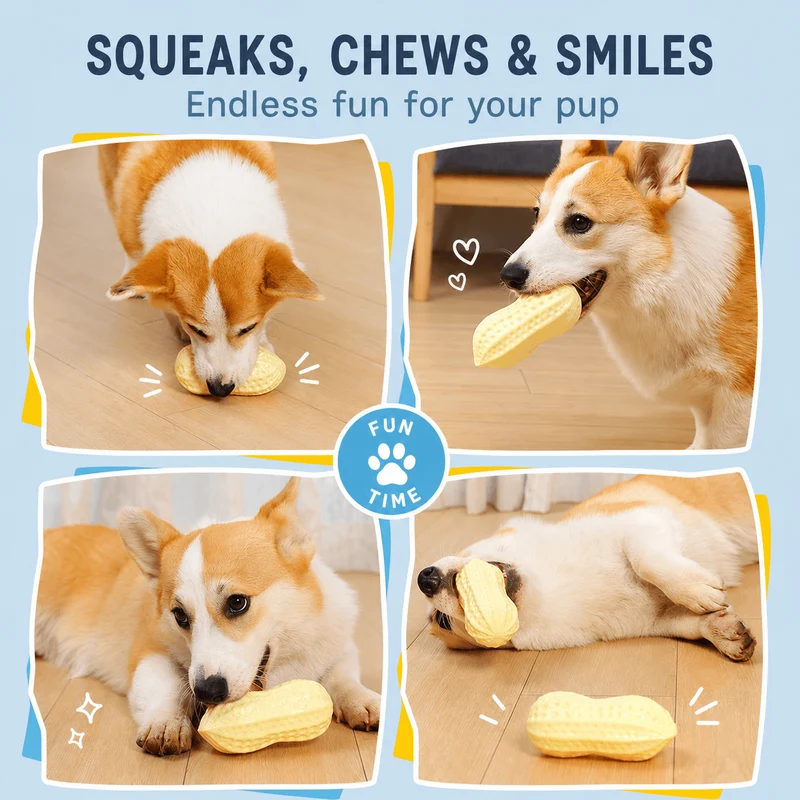 Squeaky Peanut Dog Chew Toy – Textured Dental Toy for Boredom & Interactive Play
