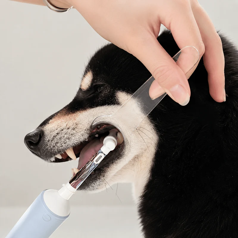 Pet Dental Mouth Opener 2-Pack