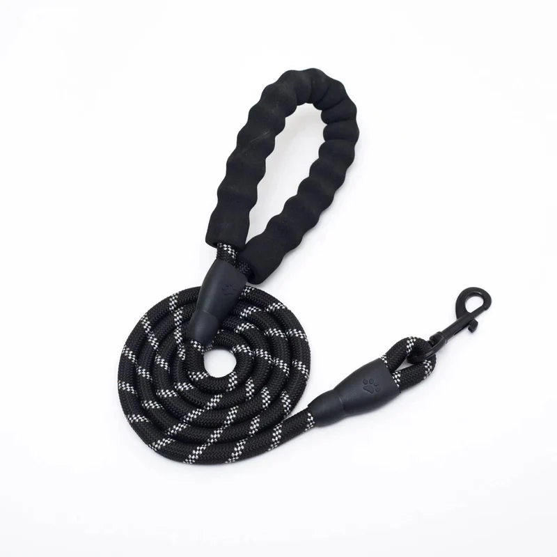 Reflective Nylon Dog Leash with Soft Padded Handle