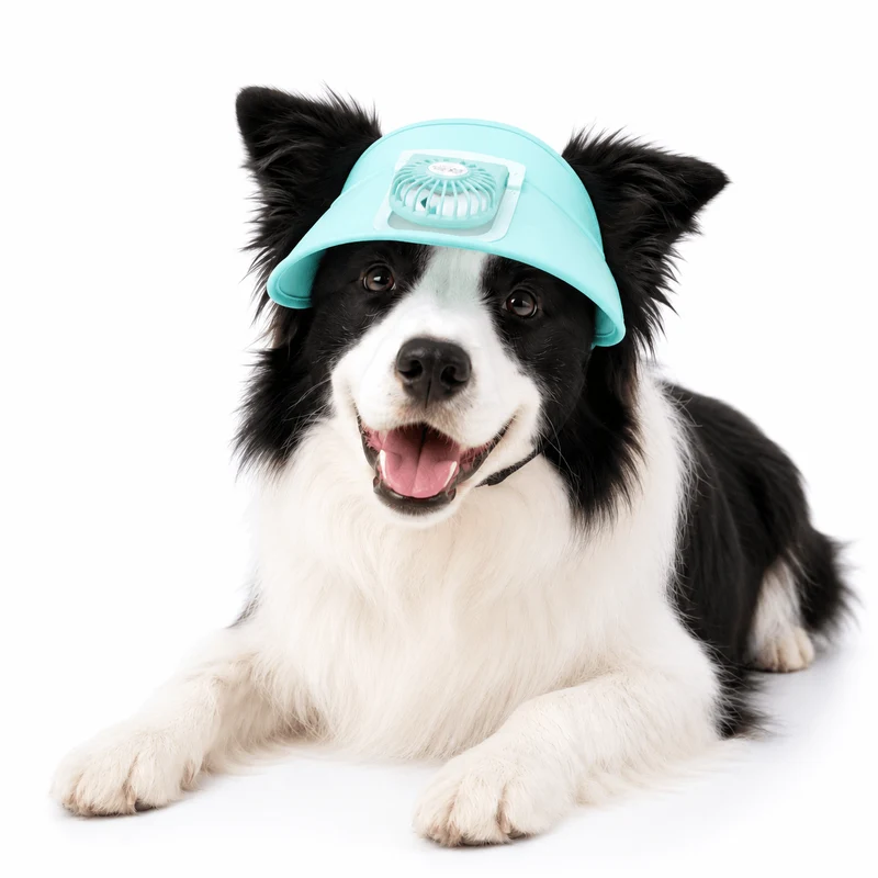 Pet Cooling Fan Hat