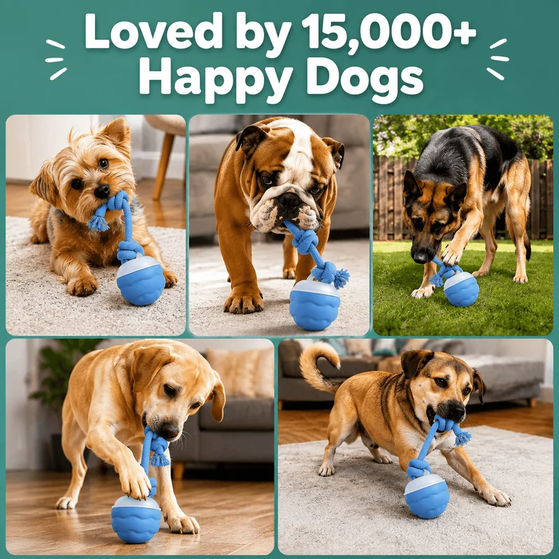 Smart Interactive Dog Ball Toy, Automatic Rolling Rope Toy