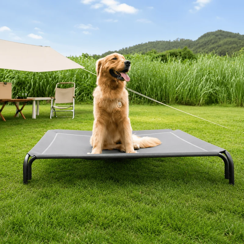 Raised Dog Bed with Breathable Mesh