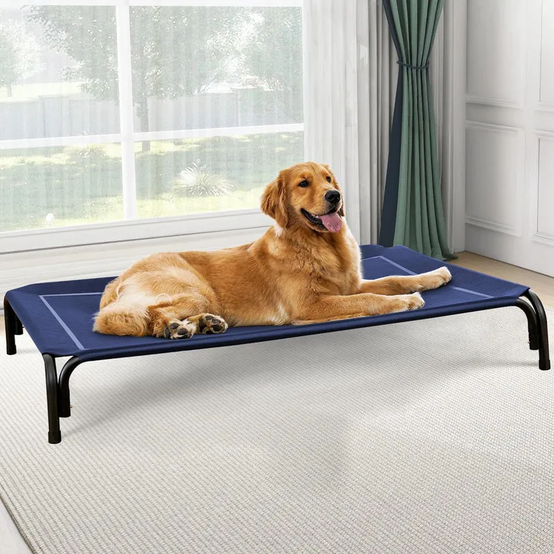 Raised Dog Bed with Breathable Mesh