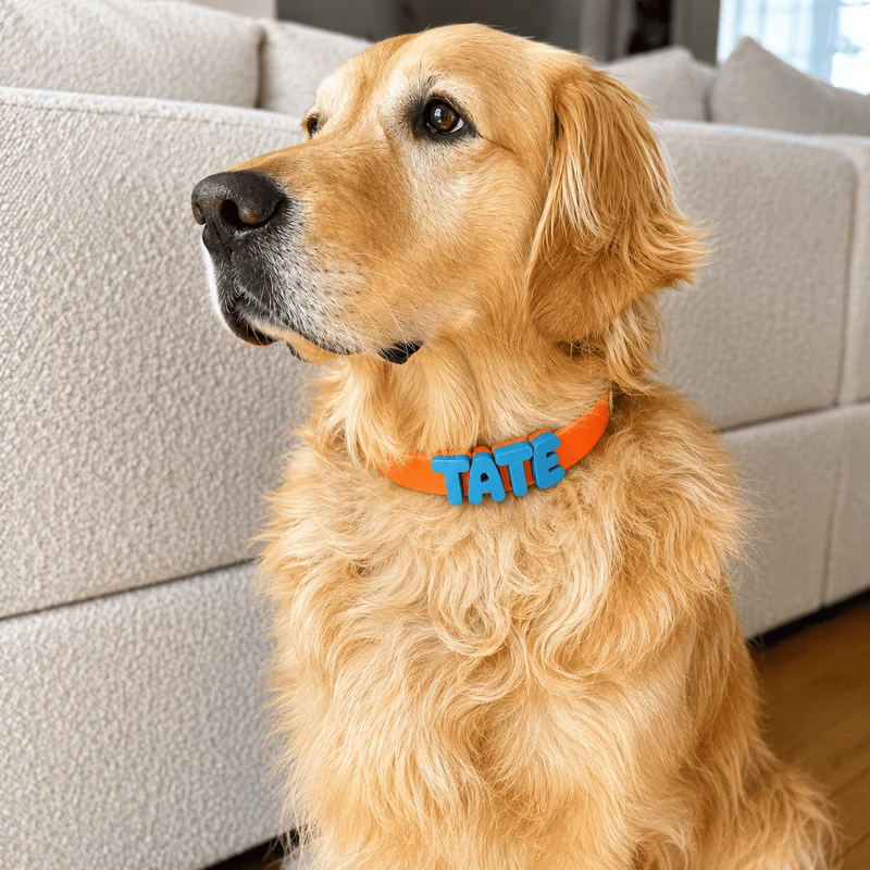 Waterproof Dog Collar with Custom Name Charms