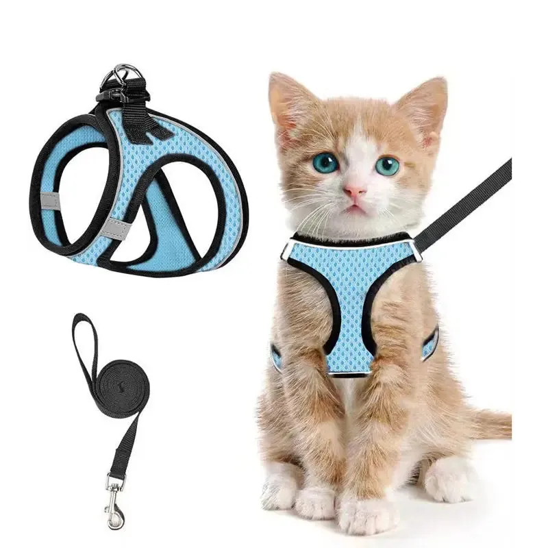 Breathable Adjustable Pet Harness & Leash Set
