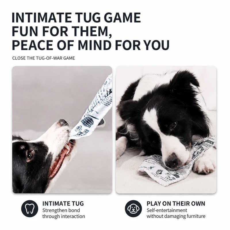 Crinkle Newspaper Dog Toy