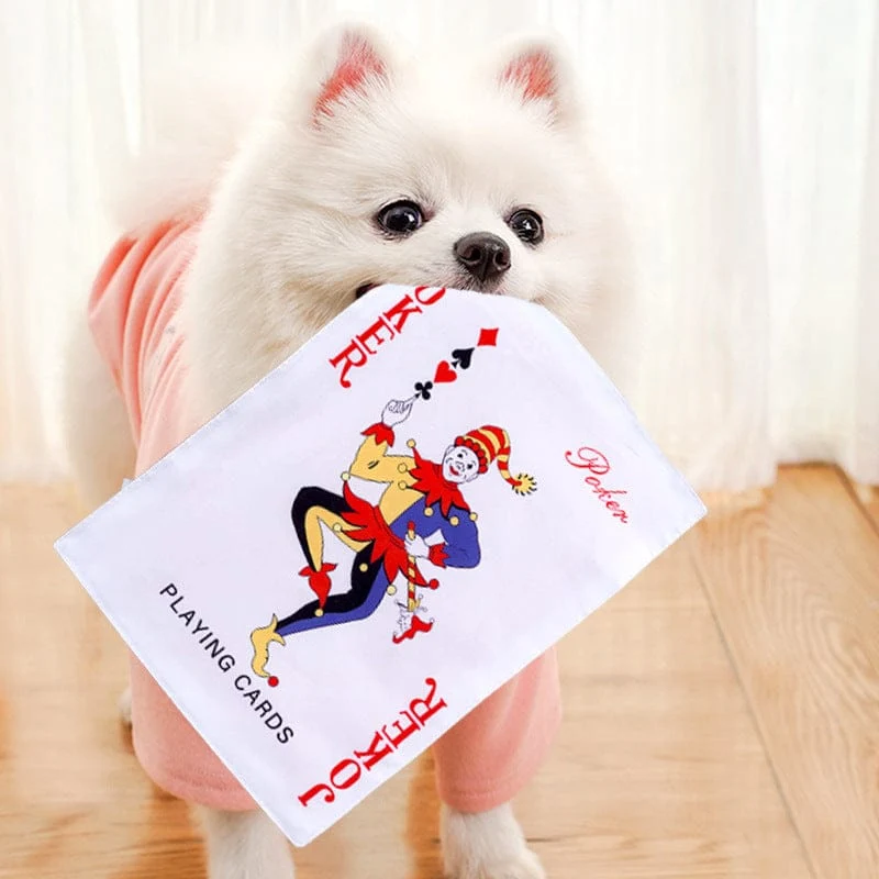 Crinkle Newspaper Dog Toy