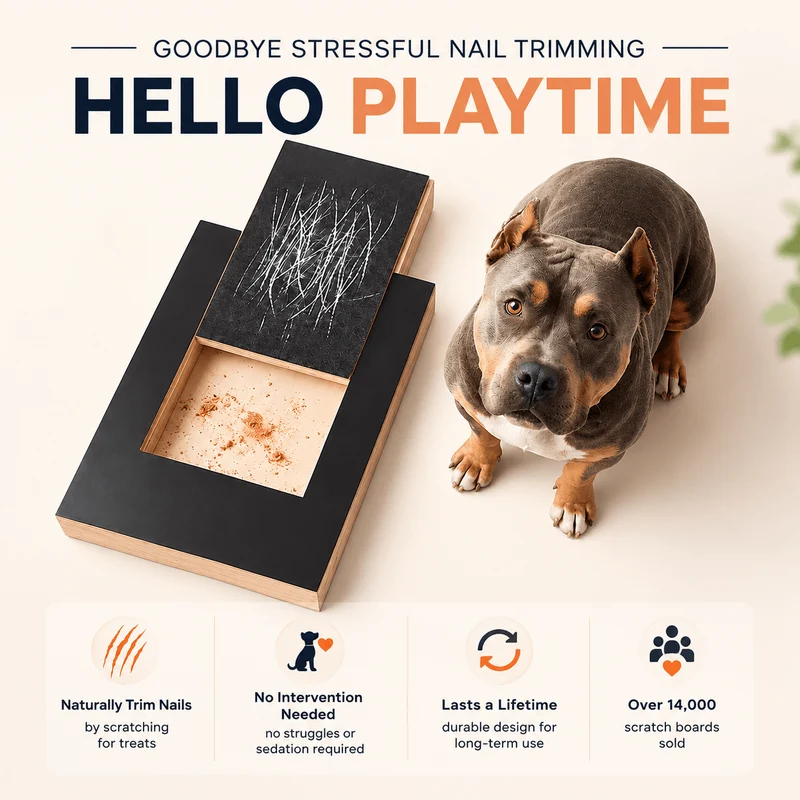 Dog Nail Scratch Board & Treat Puzzle