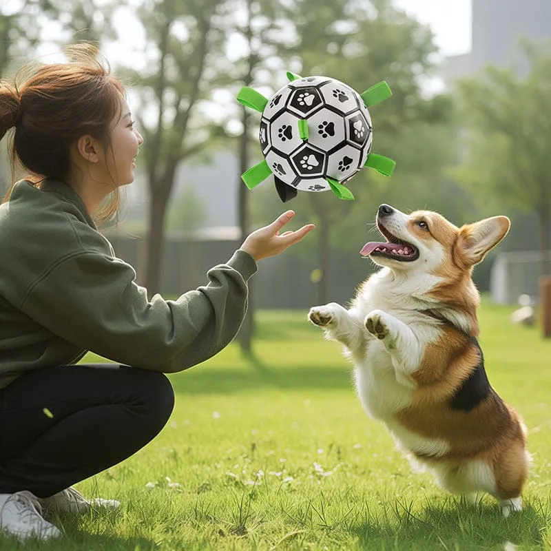 Interactive Dog Soccer Ball – Built for Active Outdoor Fun