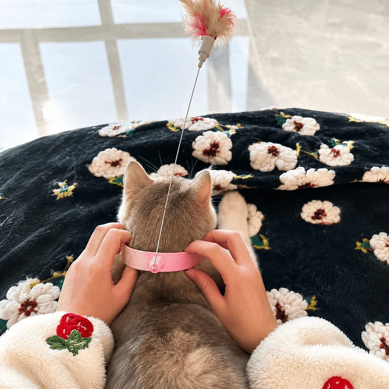 Hands-Free Collar Feather Cat Teaser
