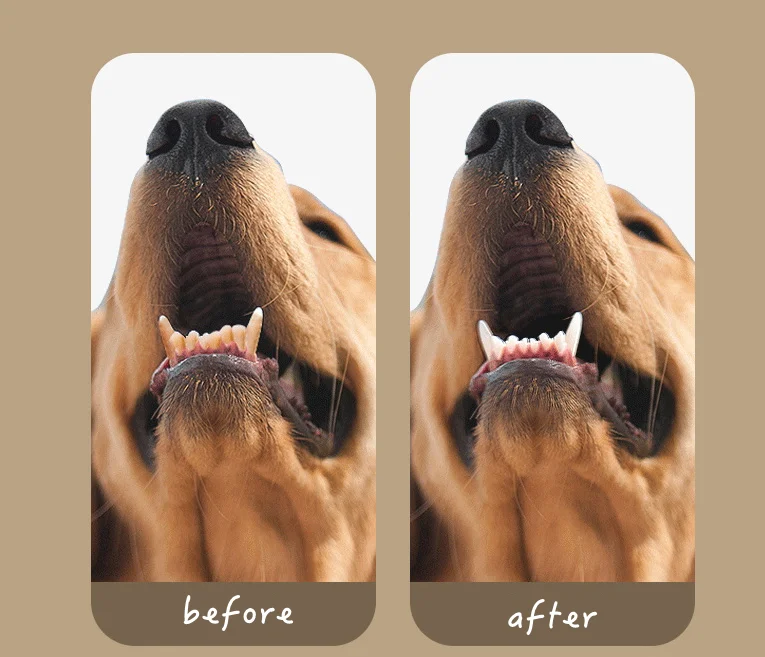 Pet Cleaning Wipes For Cats Dogs Gentle Gum Care Finger Toothbrush Eye Tear Ear Stain Remover Disposable Grooming Cleaning Tools