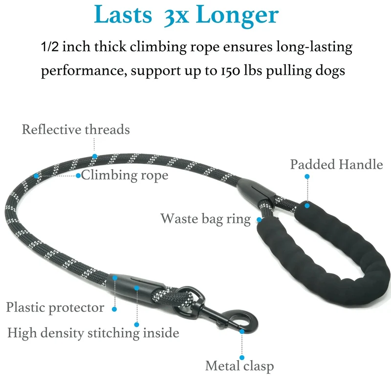 Dual Dog Leash – No-Tangle 360° Swivel Bungee Leash for Two Dogs