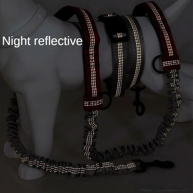 Pet Retractable Belt Leash