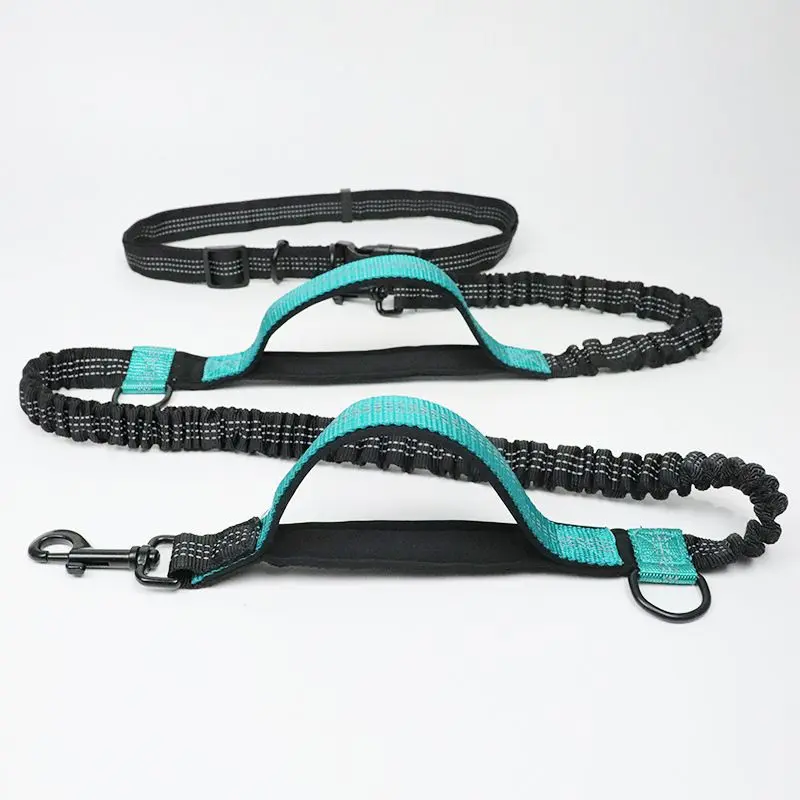 Pet Retractable Belt Leash