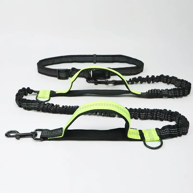 Pet Retractable Belt Leash