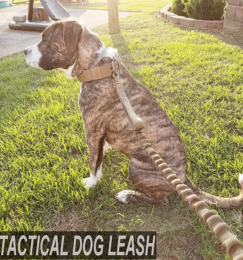 Tactical K9 Leash – Heavy Duty Adjustable Bungee