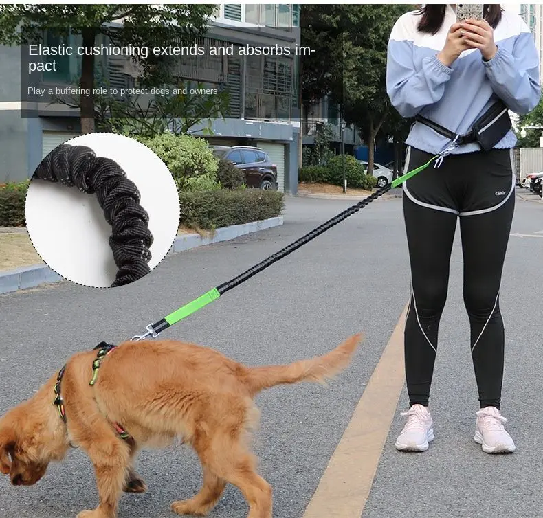 Hands-Free Leash – Bungee Dog Leash with Storage Pouch & Soft Handles