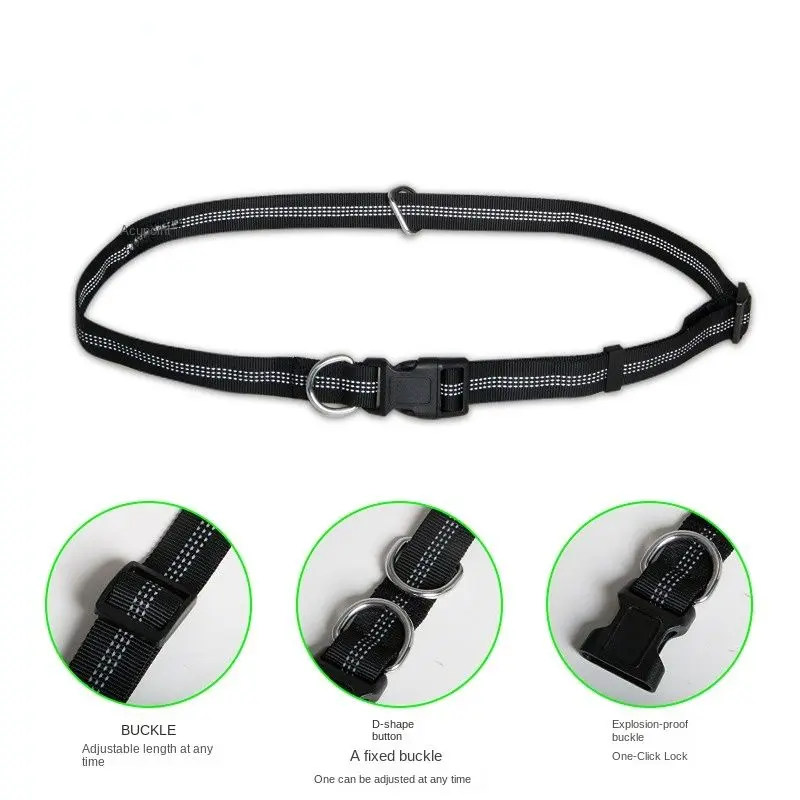 Hands-Free Leash – Bungee Dog Leash with Storage Pouch & Soft Handles