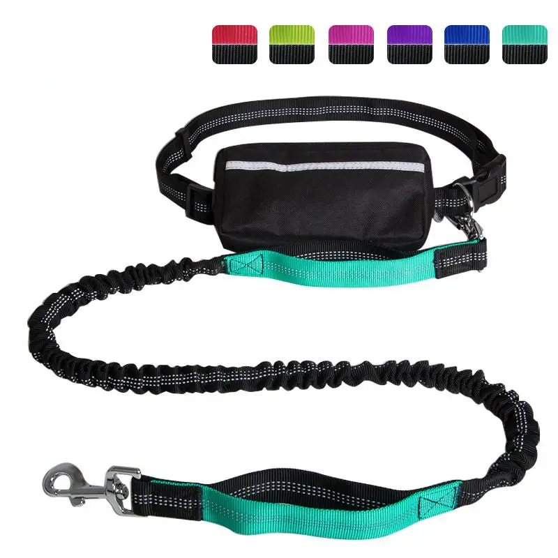 Hands-Free Leash – Bungee Dog Leash with Storage Pouch & Soft Handles