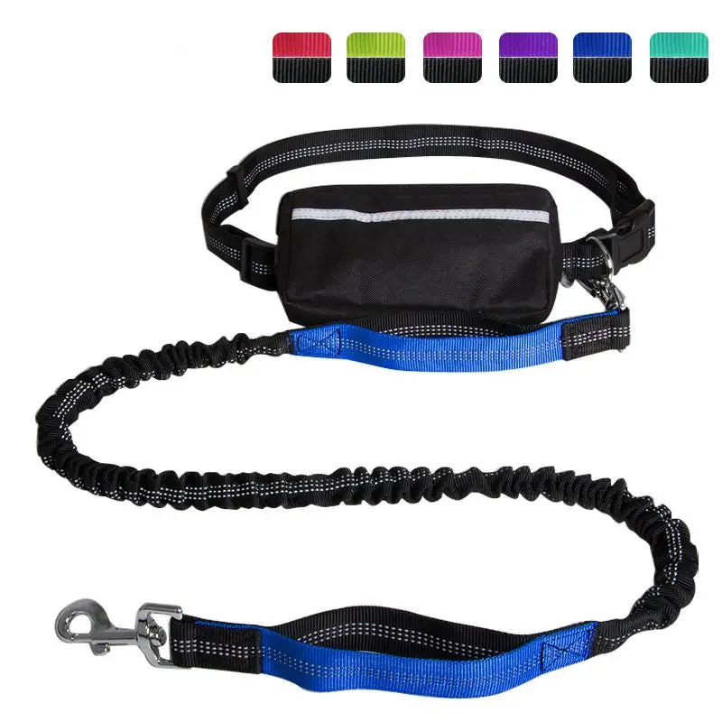 Hands-Free Leash – Bungee Dog Leash with Storage Pouch & Soft Handles