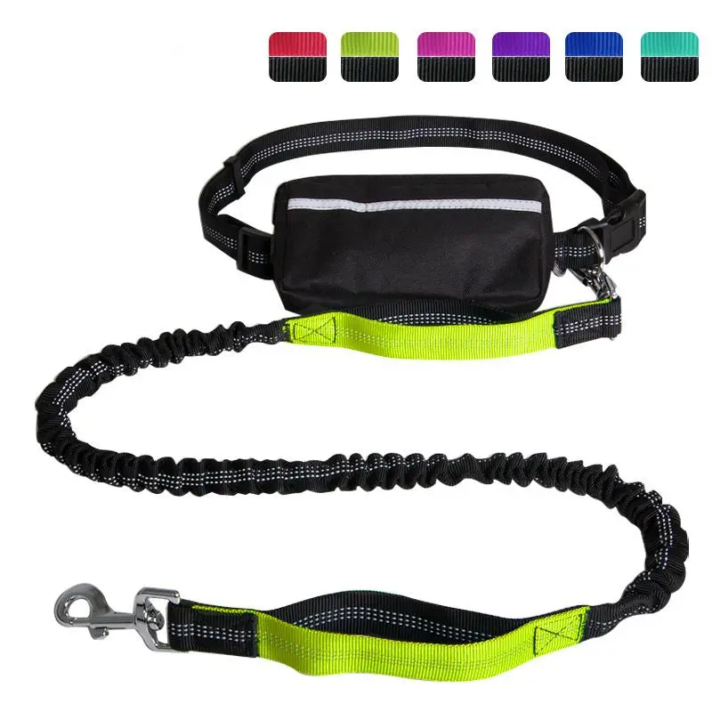 Hands-Free Leash – Bungee Dog Leash with Storage Pouch & Soft Handles