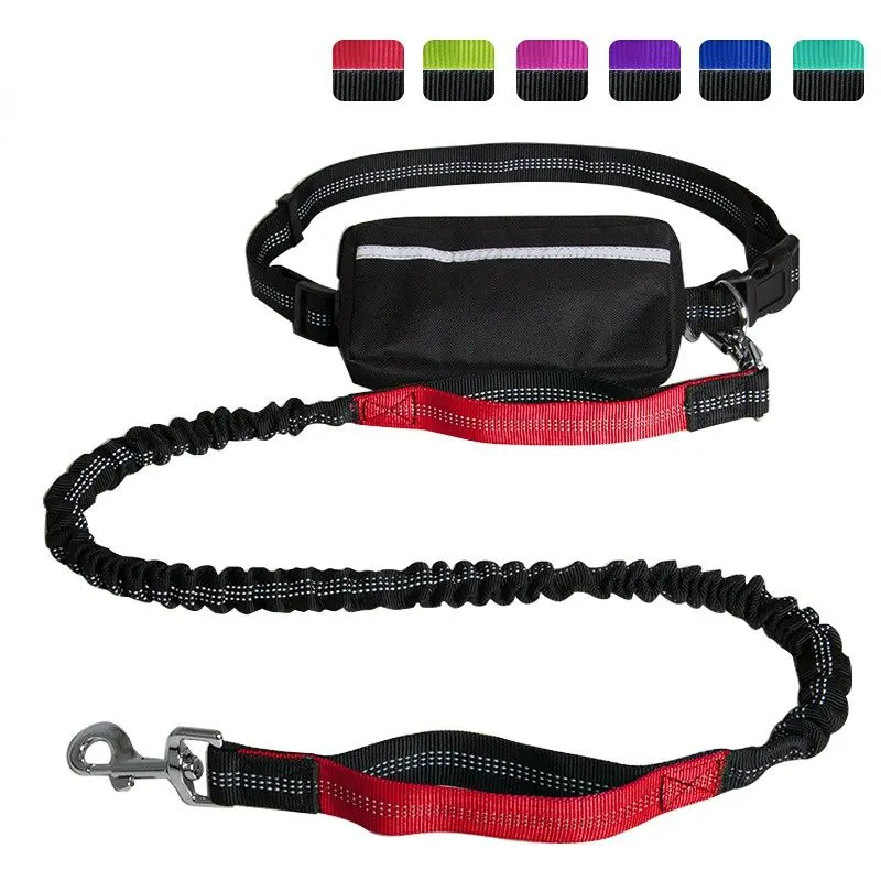 Hands-Free Leash – Bungee Dog Leash with Storage Pouch & Soft Handles