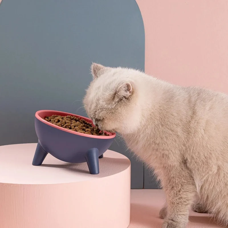 Raised Pet Bowl – Tilted Feeding Bowl for Cats & Small Dogs