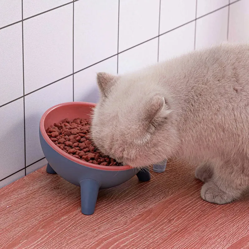 Raised Pet Bowl – Tilted Feeding Bowl for Cats & Small Dogs