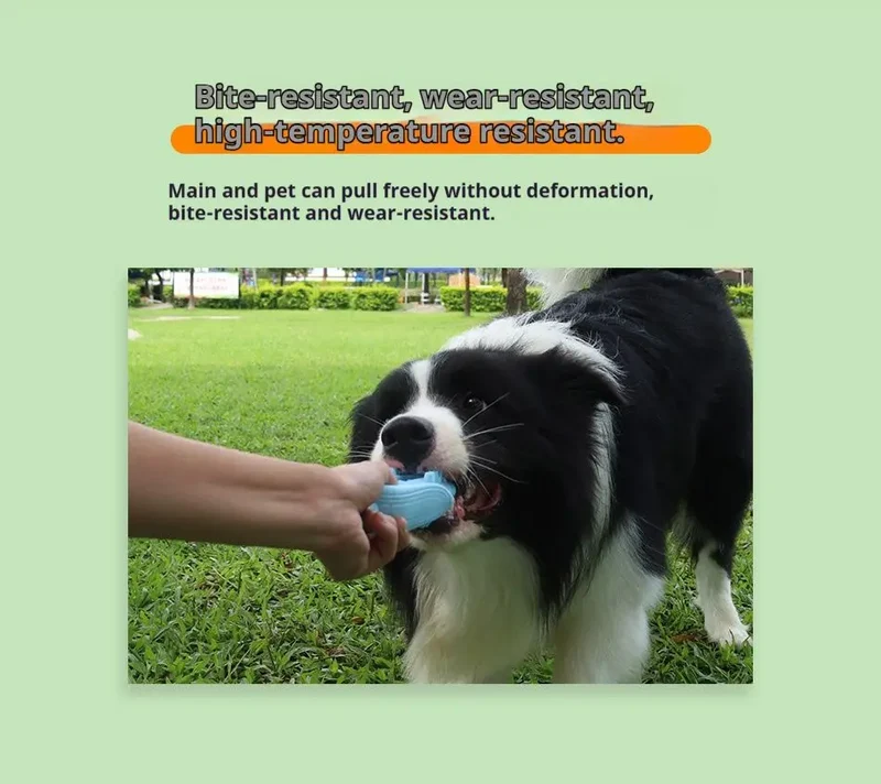 Corn Dog Chew Toy – Silicone Teething & Dental Toy